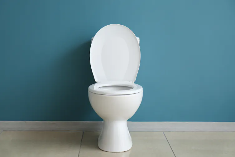 white toilet, lid open, blue wall