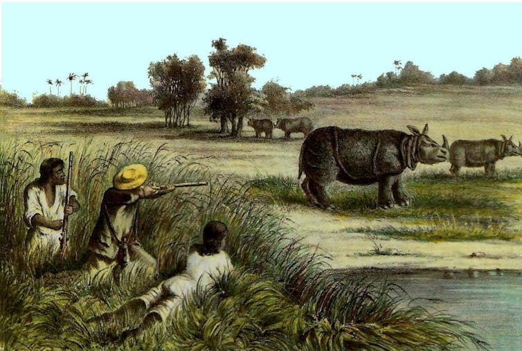 Image Javan rhinos, once thought safe from poachers, are anything but file 20240820 23 mhodx3.jpg?ixlib=rb 4.1 image