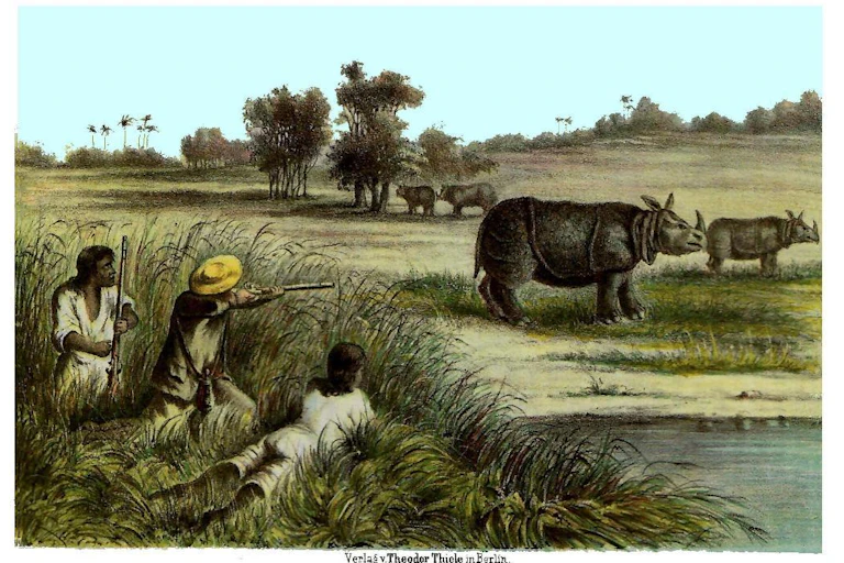A 19th-century illustration of poachers firing at rhino.