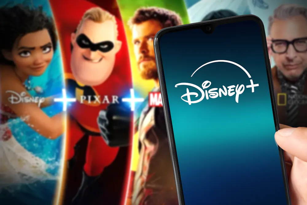 Disney wrongful death legal case exposes potential pitfalls of ...