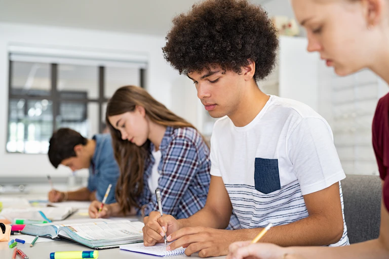 Teenagers studying