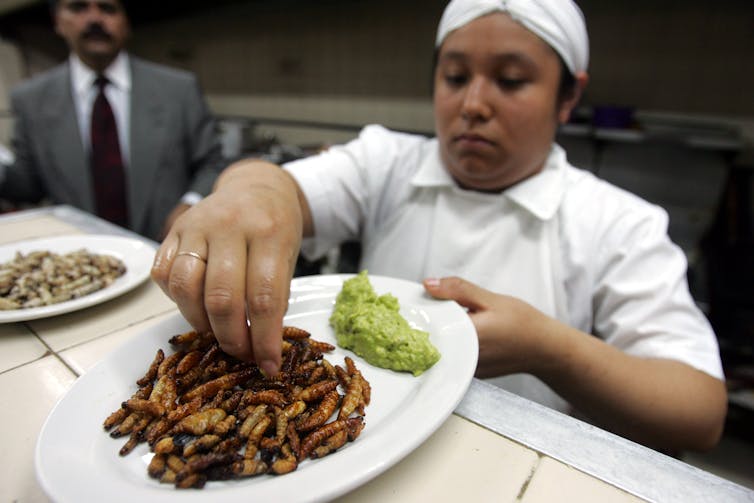 Chef displaying a plate of fried bugs with guacamole