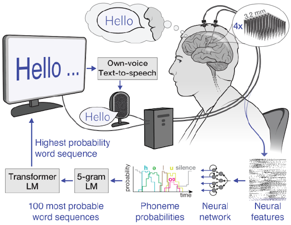 From thoughts to words: How AI deciphers neural signals to help a