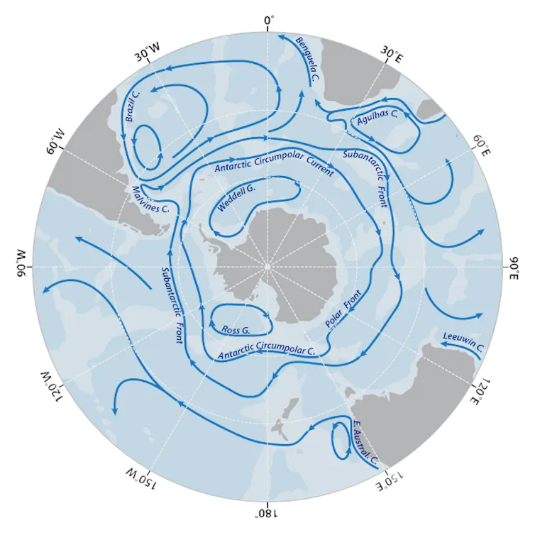 Carte vectorielle du courant circumpolaire antarctique sur fond blanc