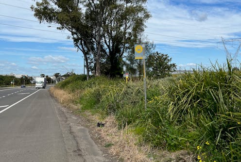 Sydney’s shiny new Metro service is great – now can we fix the city’s busted bus stops?