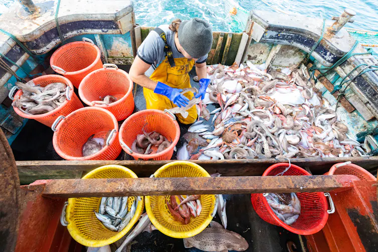 man on fishing boat