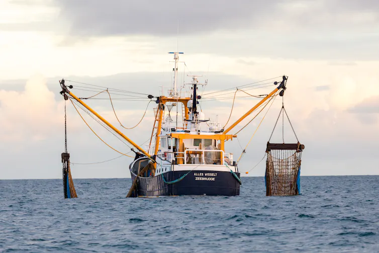 fishing trawler in ocean