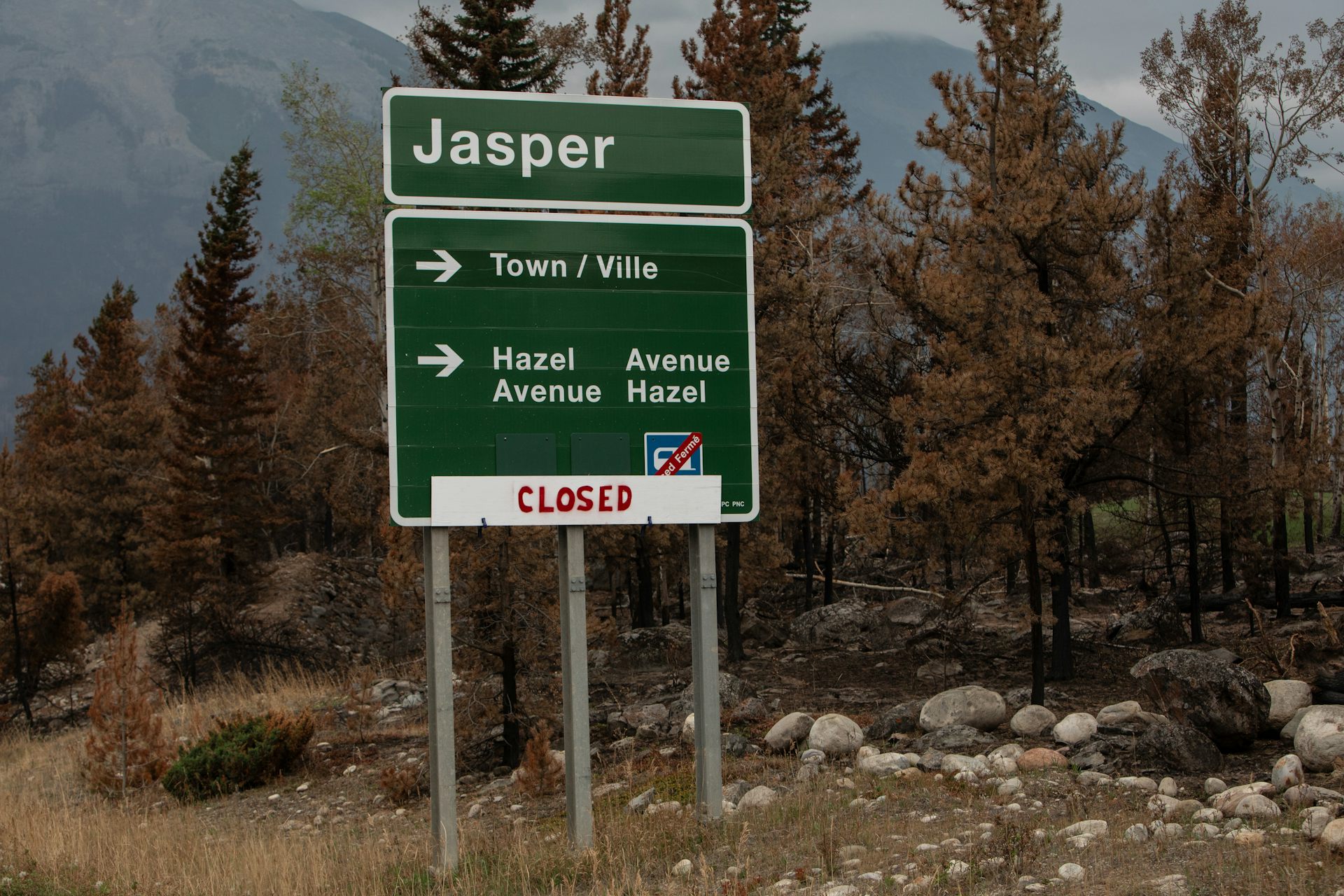 A sign that says 'Jasper' sits in front of a forest of burned trees. The word closed is stamped across the bottom of the sign