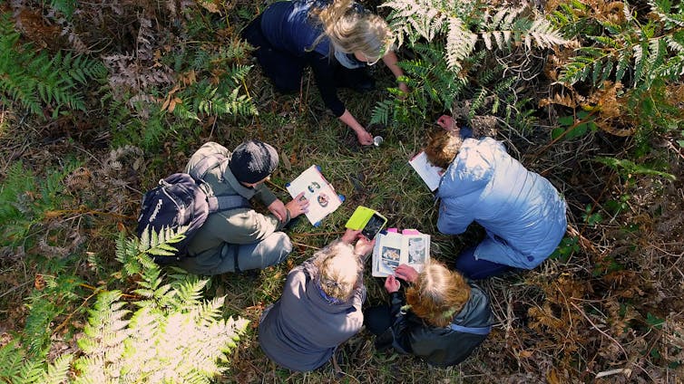 A group of people crouching over documents on the ground in a natural bushland setting