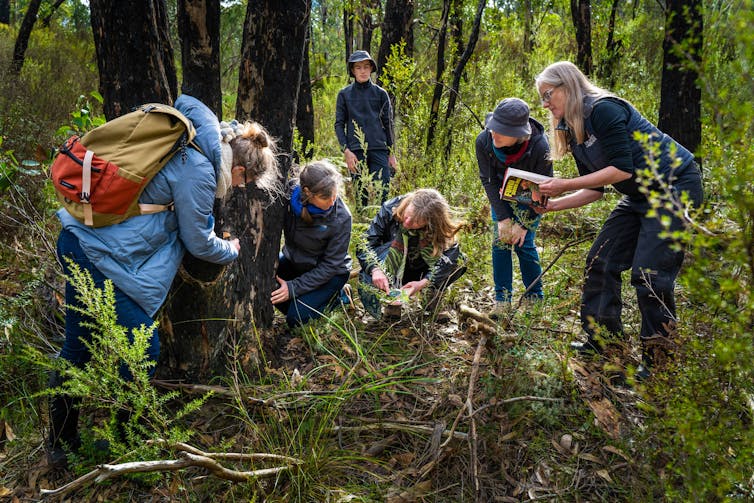 A group of people searching for fungi in a bushland setting, while one checks a reference book