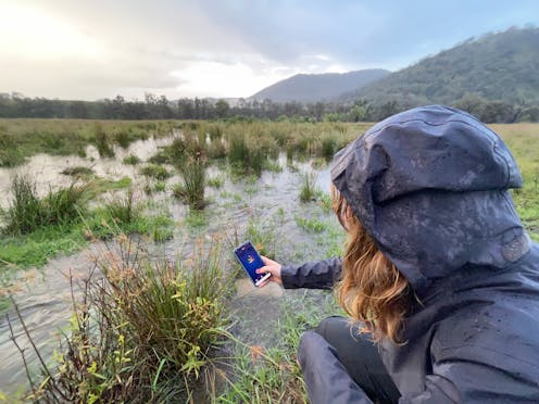 Citizen scientists can help save Australia’s threatened species if we give them more direction