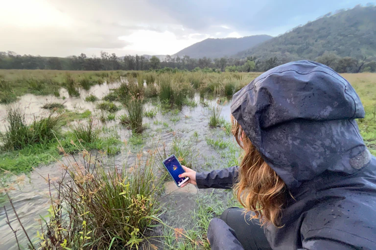 A woman crouching on the edge of a wetland with her arm outstretched, capturing frog calls using the FrogID app in the Northern Tablelands of New South Wales