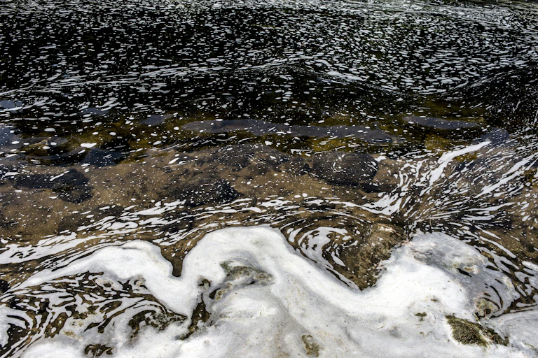 PFAS foam in a freshwater creek