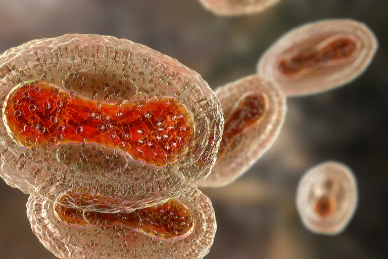 An illustration of the monkeypox virus.