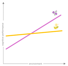 Graph showing a pink line with a steep upward angle and a yellow line with only a slight upward angle
