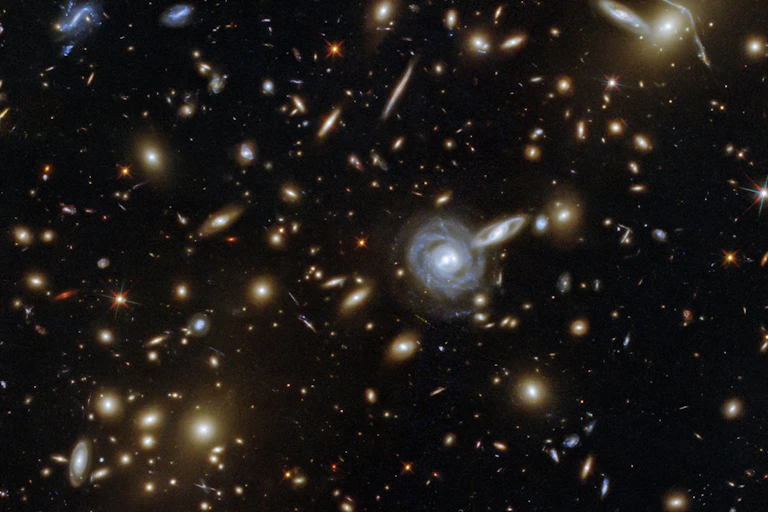 The galaxy cluster ACO S 295