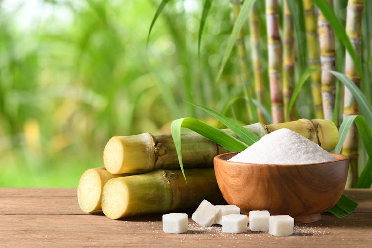 A bowl of sugar beside some sugarcanes.