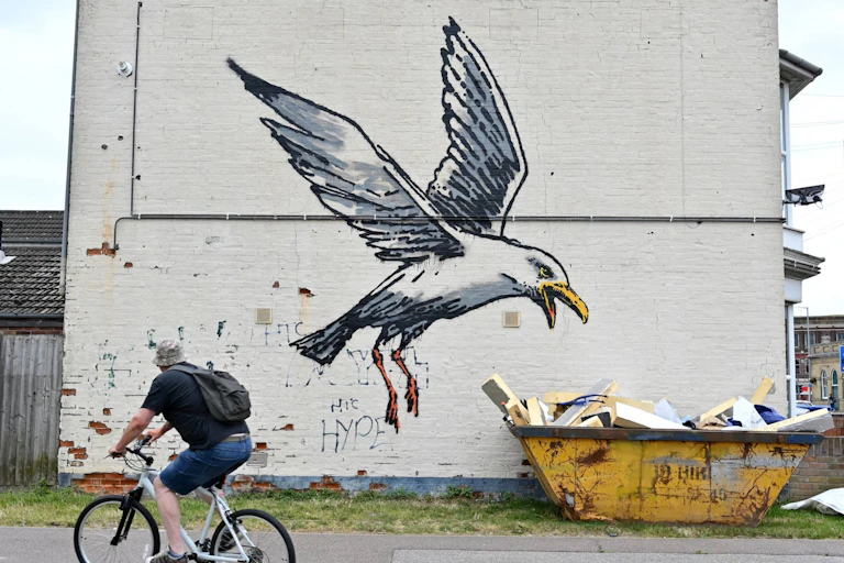 Graffiti of seagull near skip