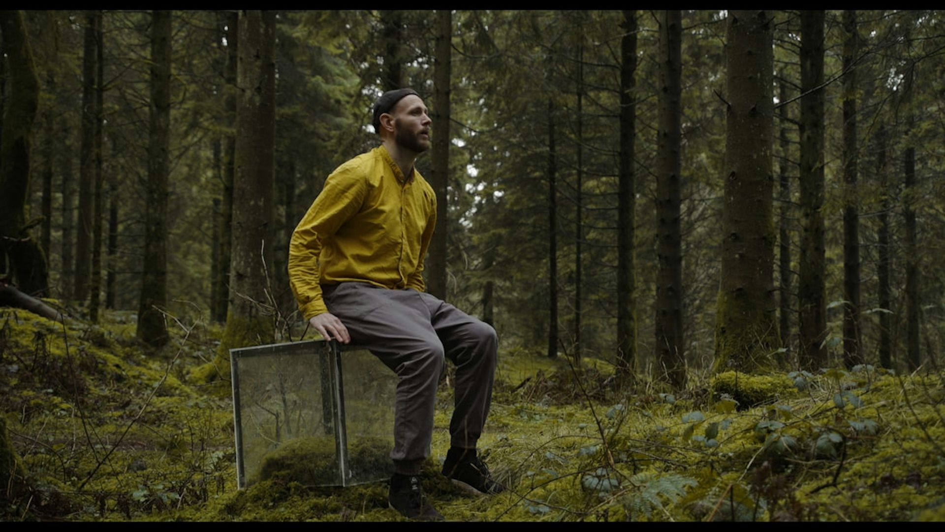 Man sits on a glass box in a forest