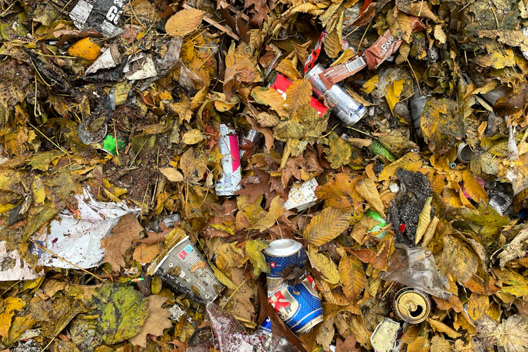 Des déchets dans les feuilles mortes