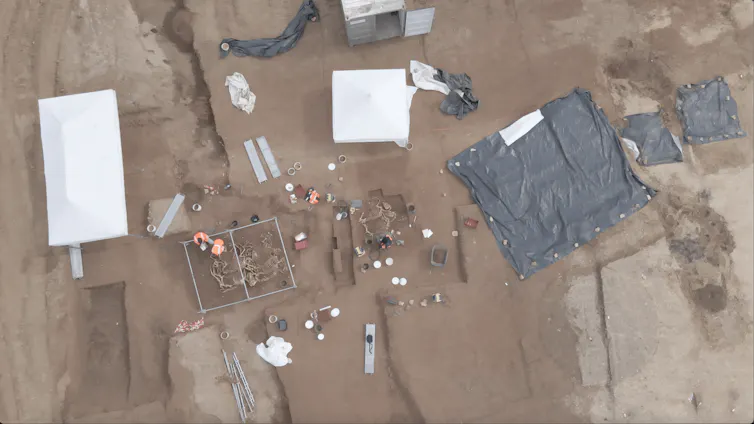 Vue aérienne du site de fouille : des archéologues travaillent sur des squelettes de chevaux qui émergent du sol