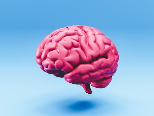 Microplastics are in our brains. How worried should I be?