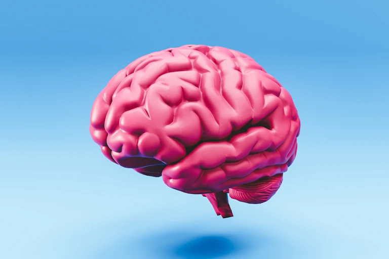 Pink human brain against blue background