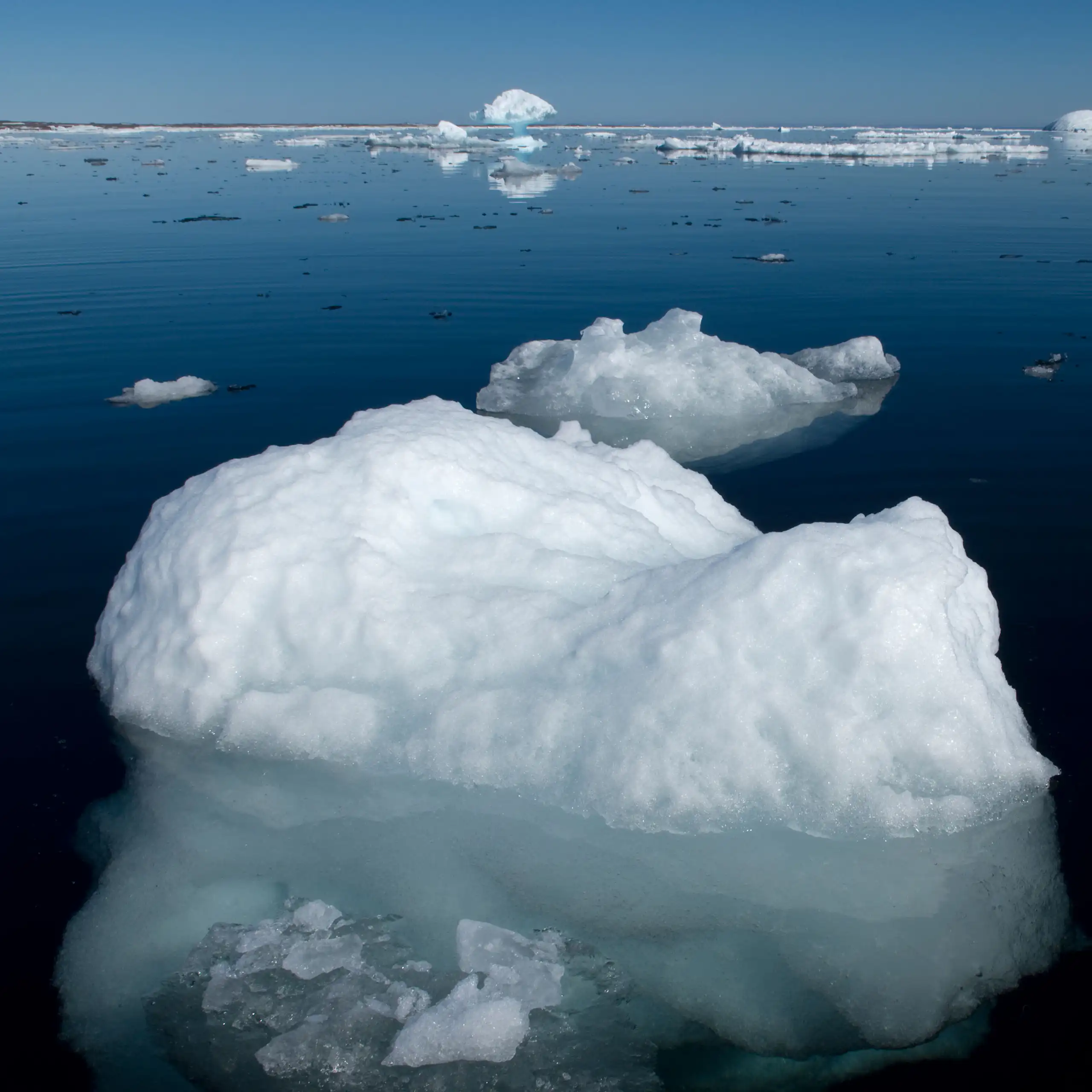 Iceberg in Arctic melting