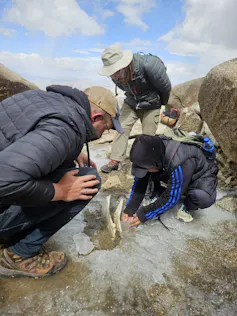 three people crouch on slushy ground with a large white jawbone visible in between