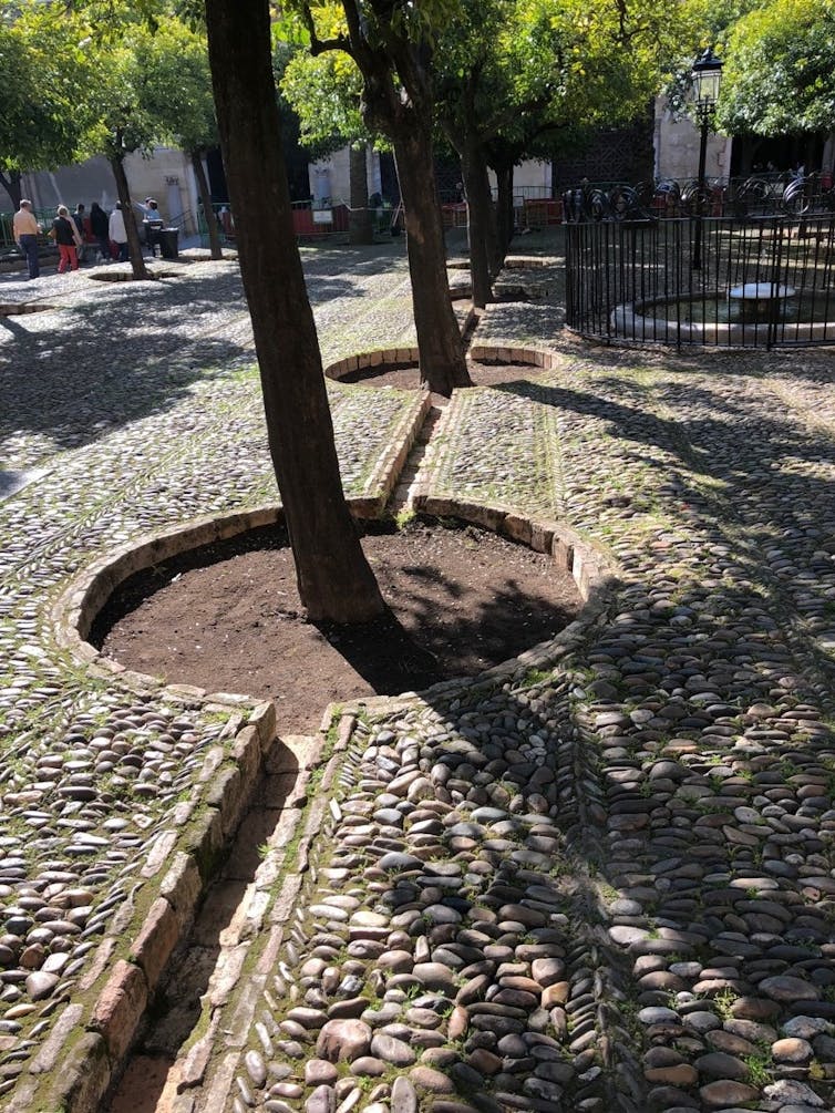The cobble stone pavement has breaks around the trees for water to flow in and cuts between them so water can flow from one tree to the next.