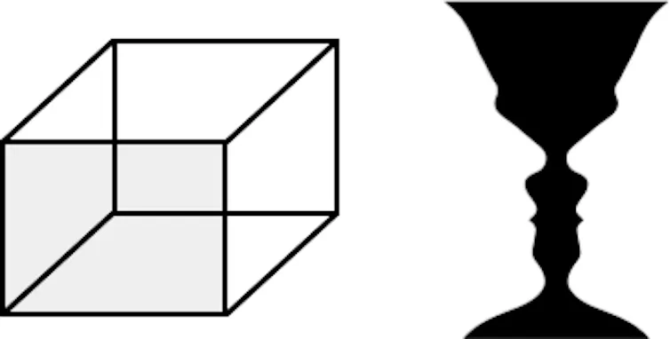 Illustration of Necker cube and Rubin's vase optical illusions.