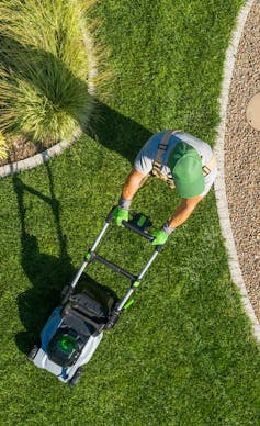 gardener mowing lawn seen from above