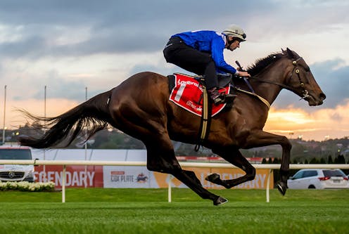 Winx smashed racing records. A new documentary tells her story on and off the track