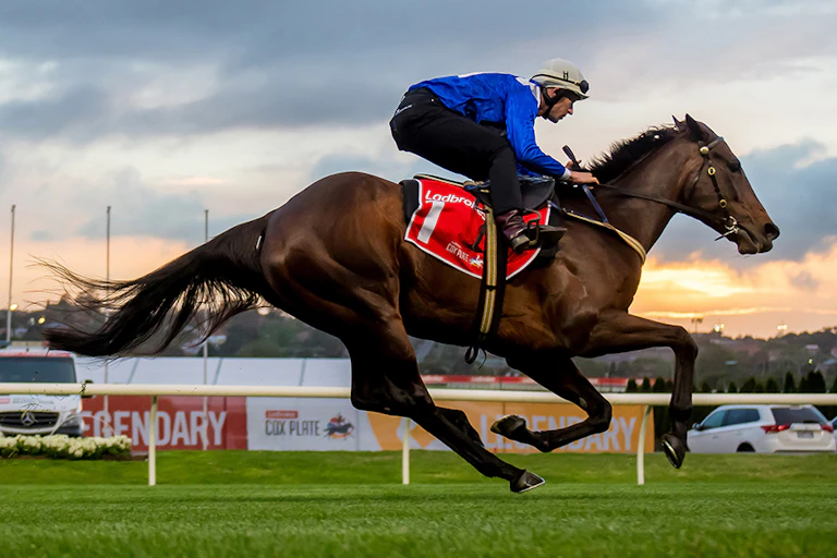 A racehorse and jockey gallop mid-air.