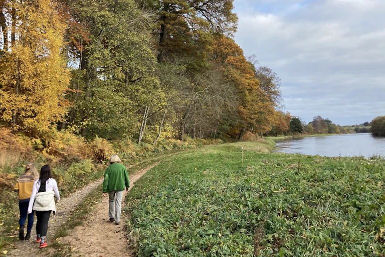 three people in winter clothes walking along path by trees and lake