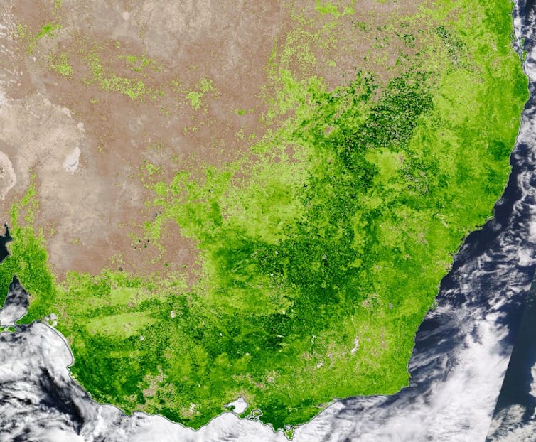 map of southeast Australia showing green vegetation