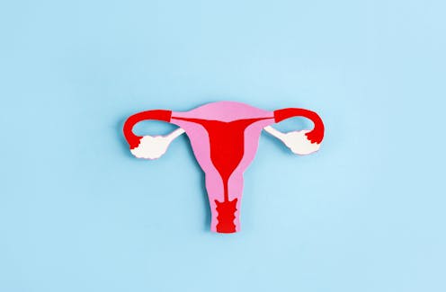 We found teenage girls don’t know vulvas from vaginas or when their menstrual cycle starts