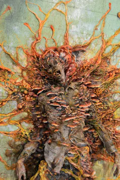 A man who has been turned into a kind of fungus, which has killed him in the process.