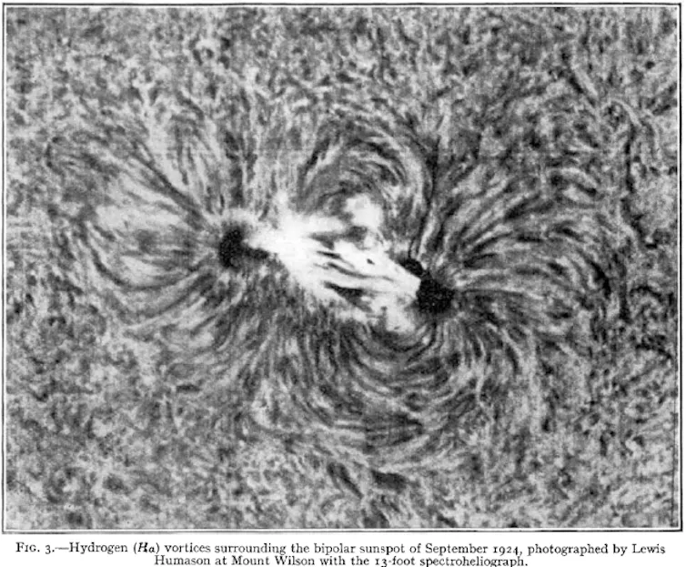 black and white patterned lines around two swirled centres