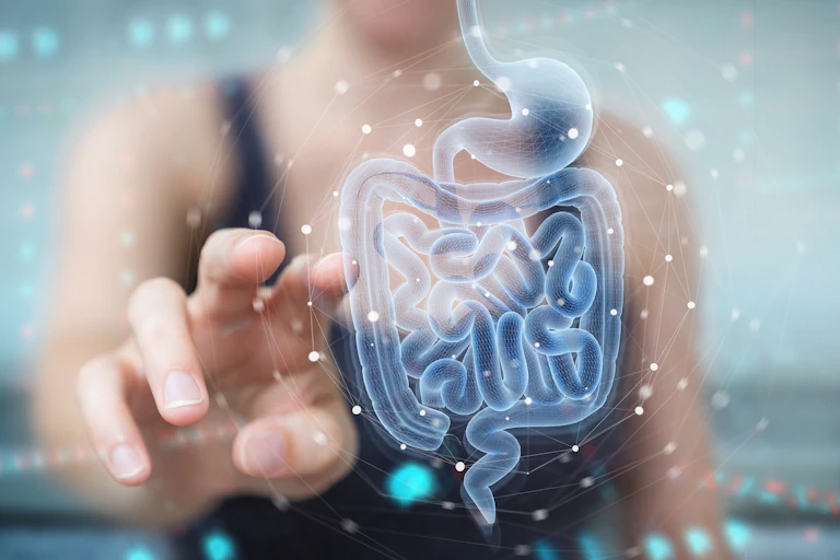 Blurred woman in background reaching to touch a blue hologram of a human intestine