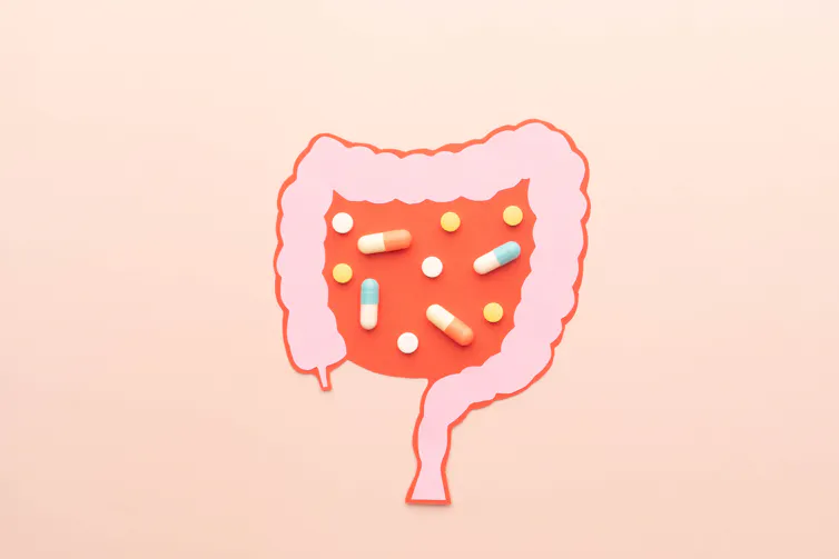 Paper cutout of intestines with pills and capsules