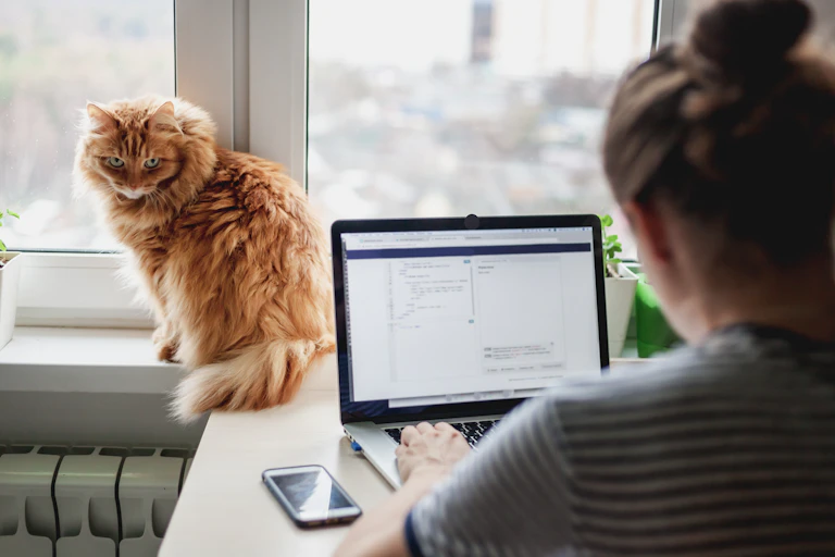 Woman uses laptop while a cat sits on nearby windowsill looking at camera