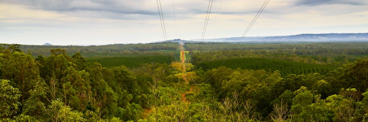 transmission tower and lines in green landscape
