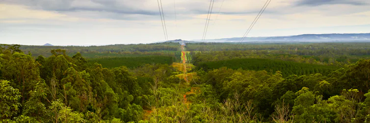 transmission tower and lines in green landscape