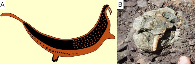 Side by side images of, to the left, the Horned Serpent panel creature rendered in red ochre and black, with a long body shaped like a banana and two tusks. To the right, a fossilised skull of a dicynodont as it lied in the Karoo, with its two tusks clearly showing