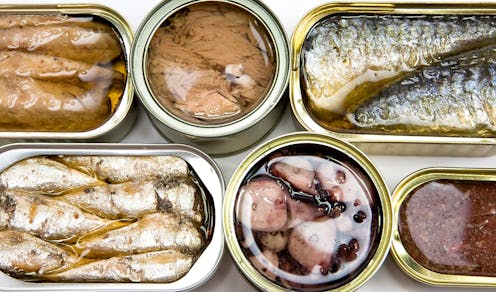Dolphin friendly? New research shows vague environmental labelling is common on NZ seafood products