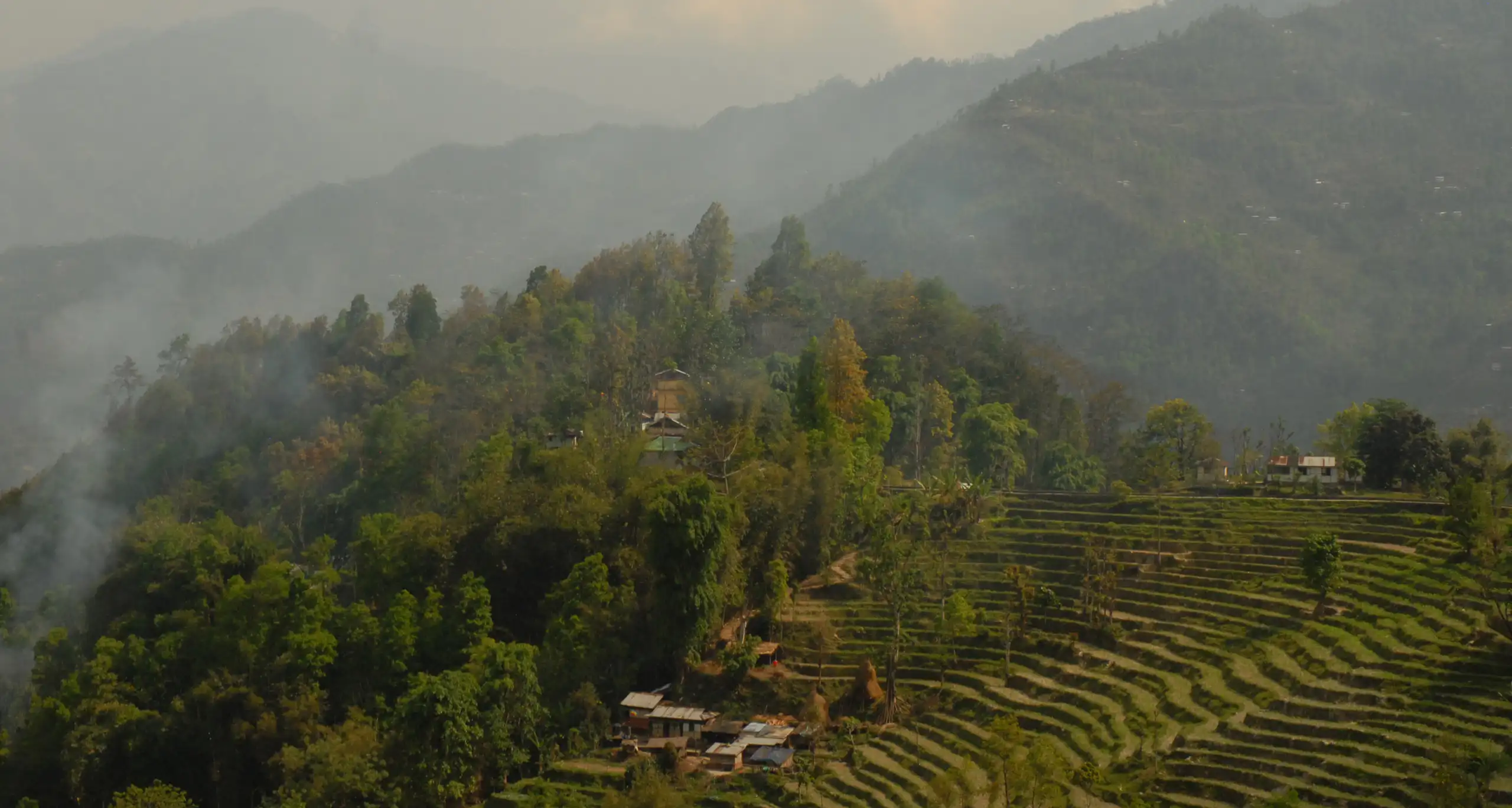 Paysage escarpé du Sikkim avec terrasement