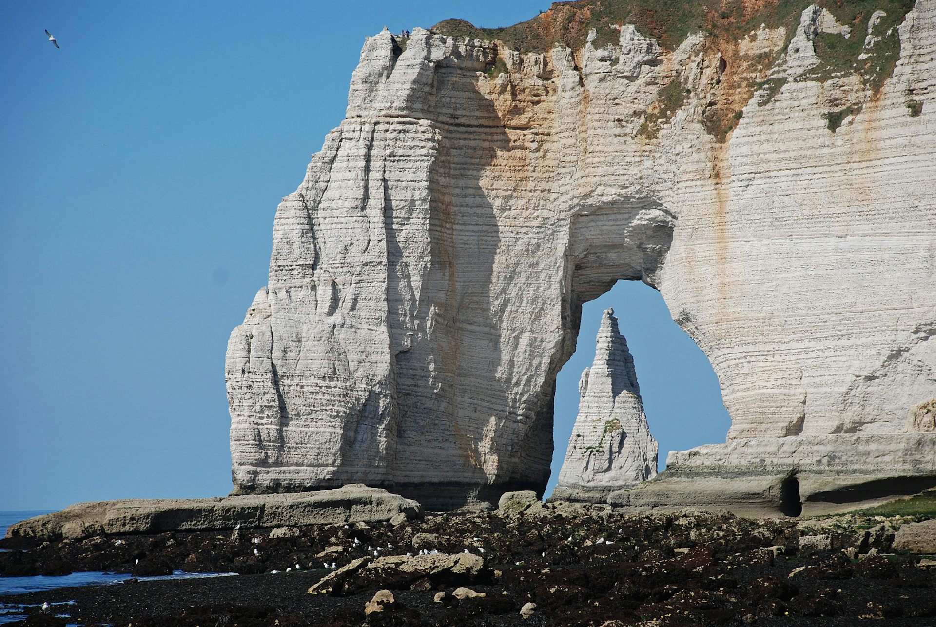 Les falaises d’Étretat, façonnés par des débris de coccolithophoridés, des petites algues calcaires émettant du soufre