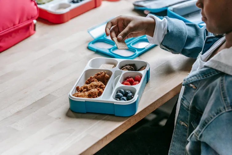A person looking at a packed lunch