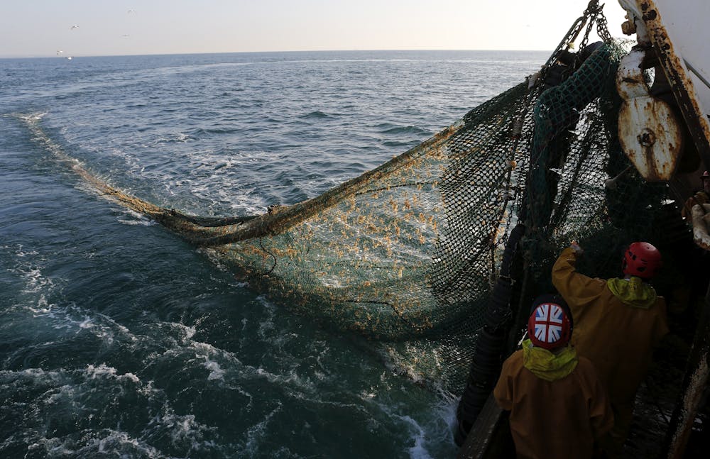 File:A boat's wake, seen through a rope net.jpg - Wikimedia Commons